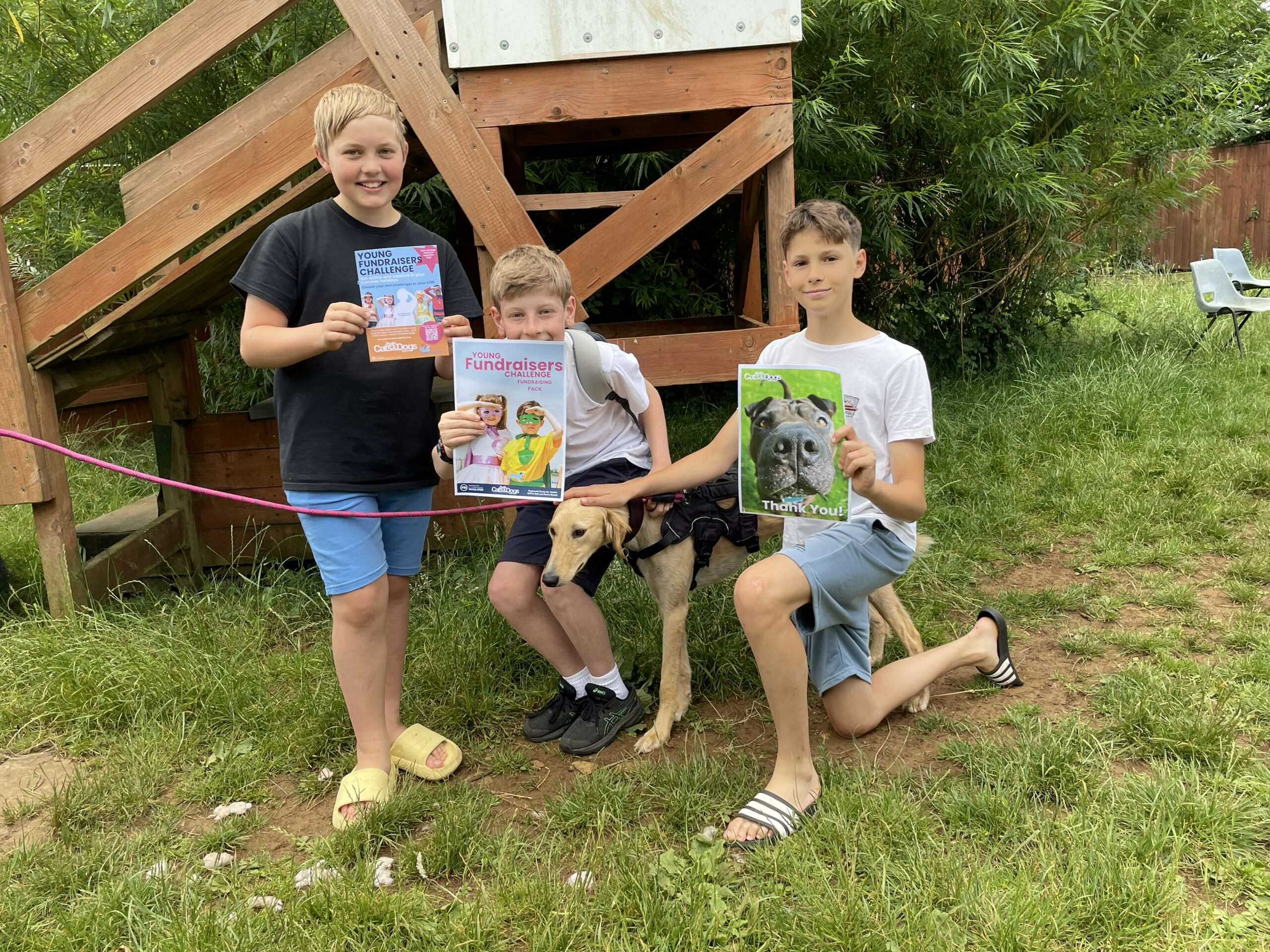 Local boys kick off Young Fundraisers Challenge for Bath Cats and Dogs